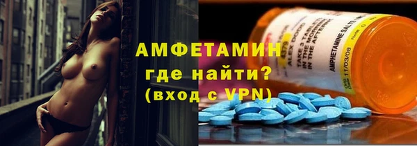 винт Верея