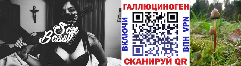 даркнет клад  Северск  Галлюциногенные грибы Magic Shrooms 