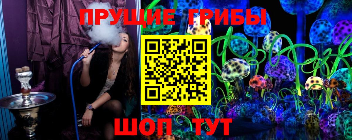 Северск  Галлюциногенные грибы мухоморы  Вход с VPN 