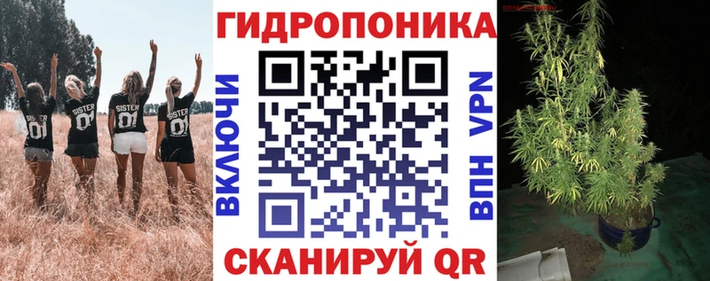 купить наркоту Северск KRAKEN tor Бошки марихуана THC 21%